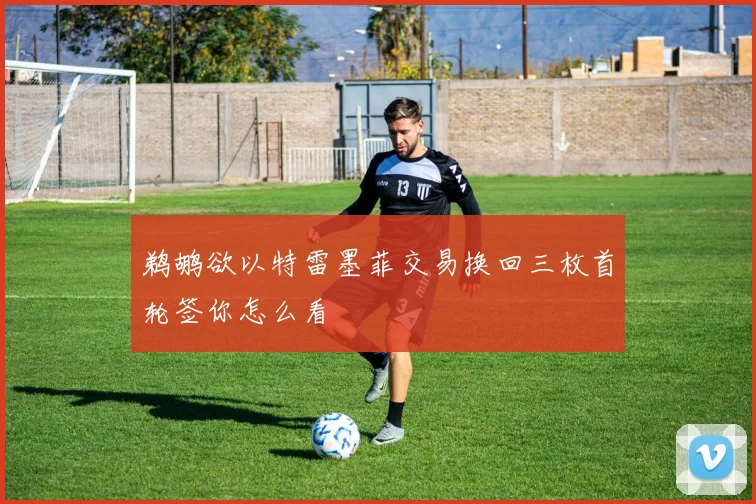 鹈鹕欲以特雷墨菲交易换回三枚首轮签你怎么看